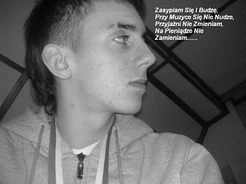 Wpis ceglinhodjcris77