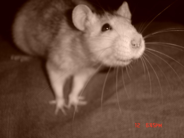 Myka:)