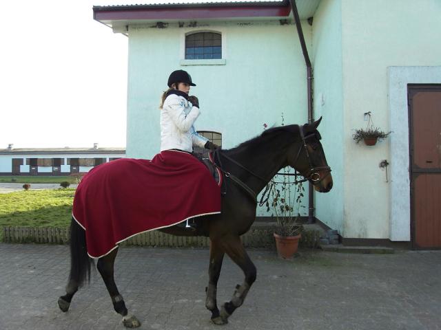 Wpis stables1