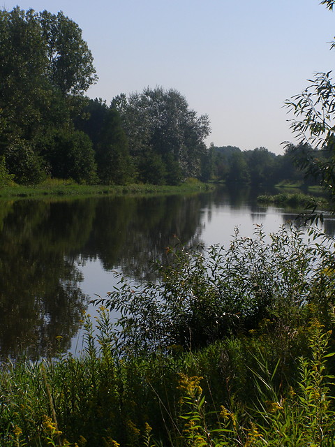 Wpis szantana