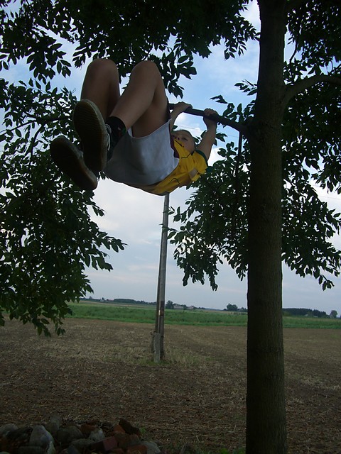 Wpis spidery