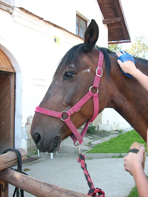 kochana fantusia ;*;*:*