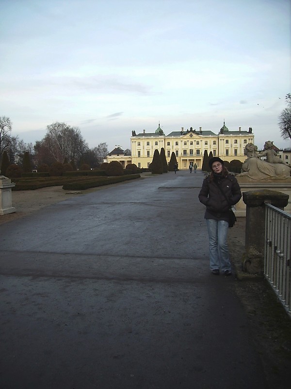 Wpis szyt