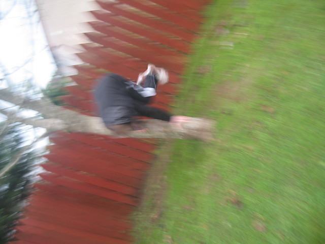 Zimmmmmmmmnnnnnnnooooo