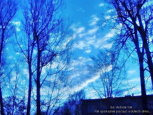 Sky :*