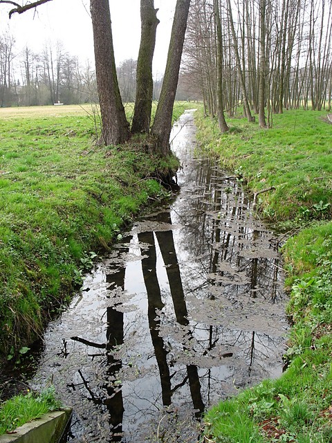 wolnee