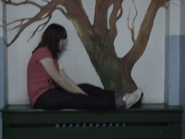 Wpis prawdaczyfalsz