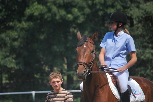 Wpis stables1