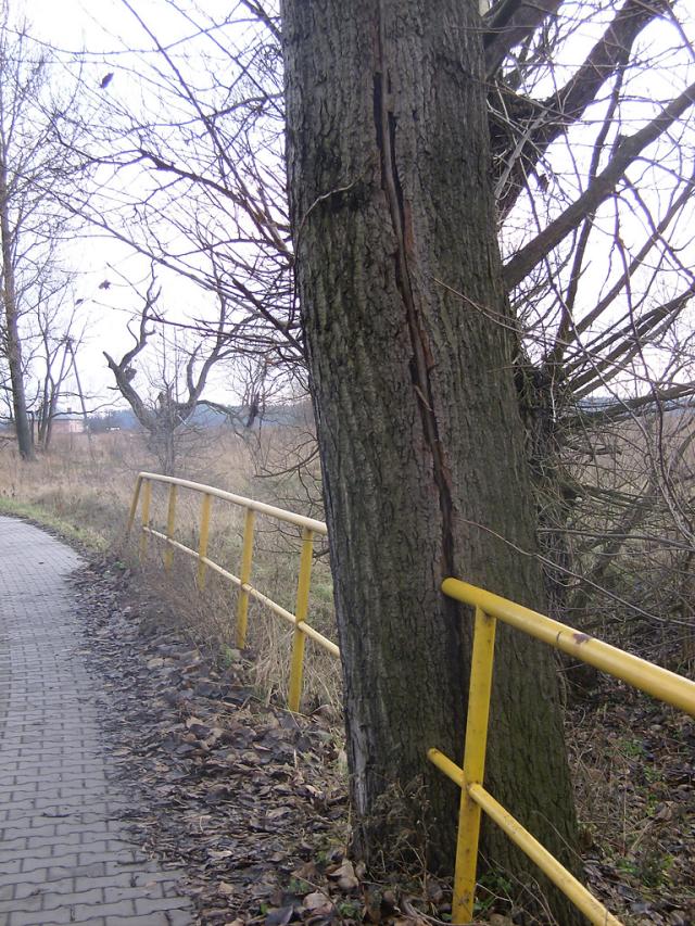 Czowiek kontra natura