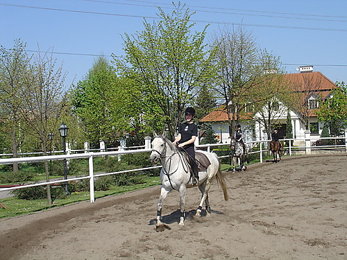 Wpis izusia90