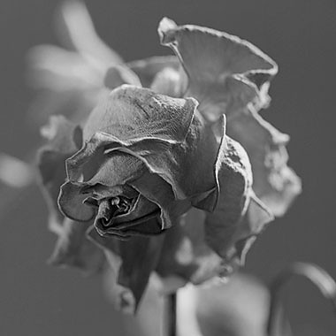 lost beyond all hope of retrieva