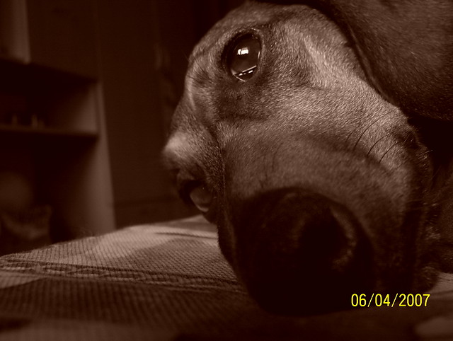 Nora