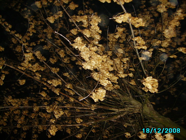 Wpis piotrek05