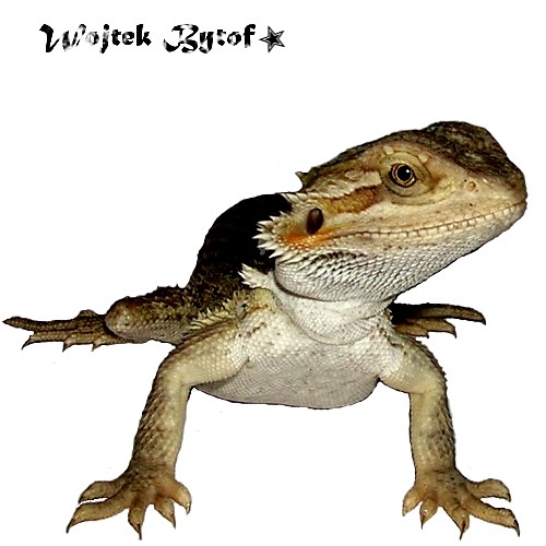 Agamka