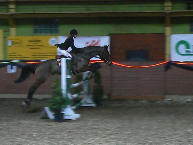 Wpis stables1