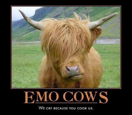 Wpis funnysomething