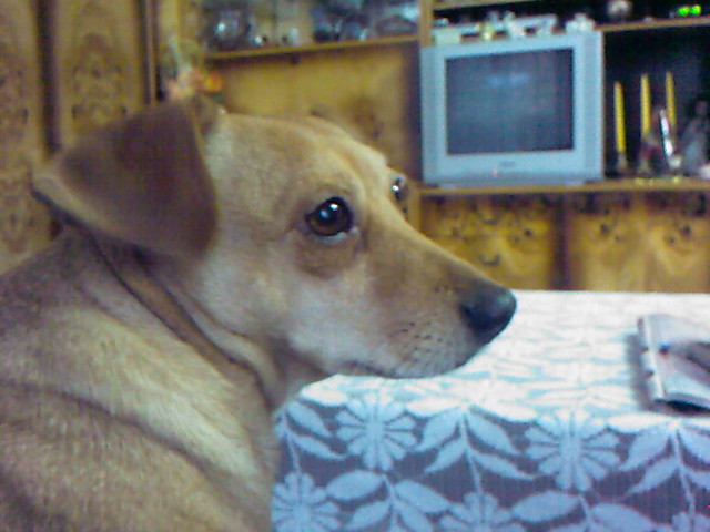 MOJA TINKA:)