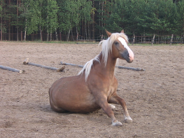 Wpis agatka19965