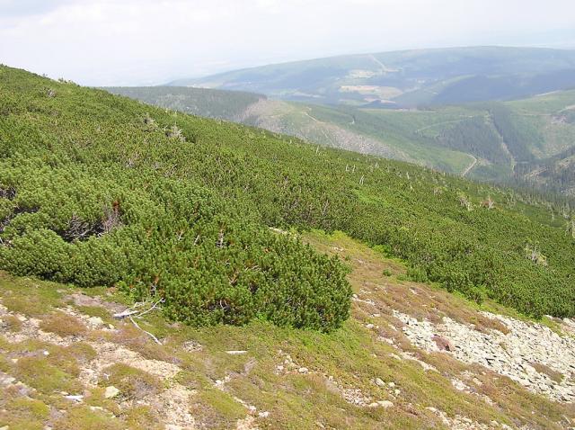 Wpis vaniliowoczekoladowa