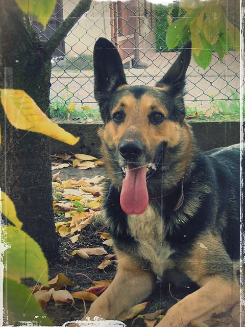 Lucky:)