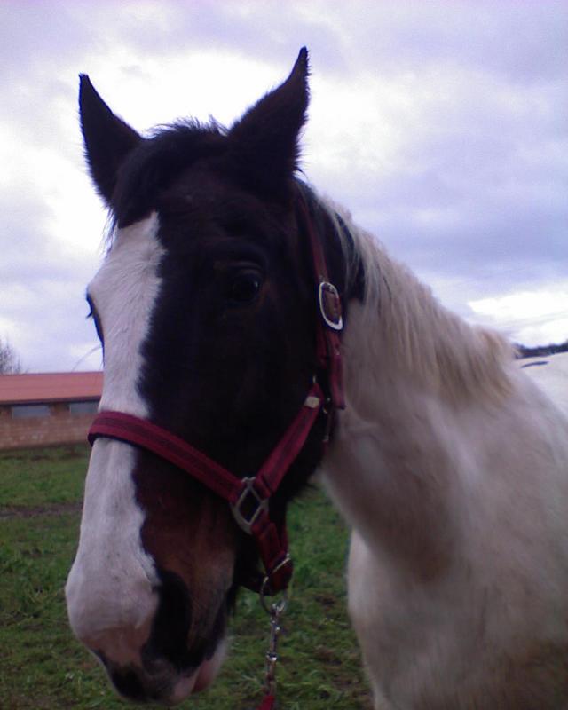Riciuch ;* - Dla Duli ;*