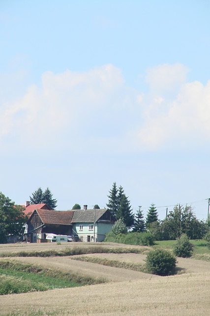 Wpis grodkowice