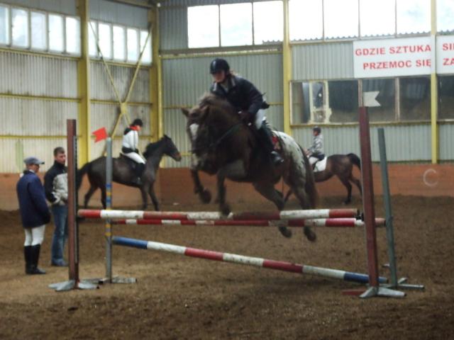 Wpis stables1