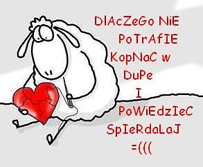 ;PP
