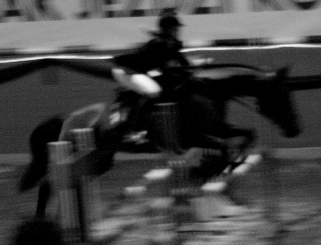 Wpis stables1