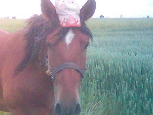 Oto moja bestia ;)