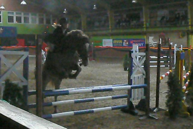 Wpis stables1
