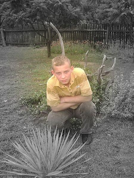 Wpis puszek16ziom