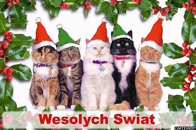 Wesoych wit