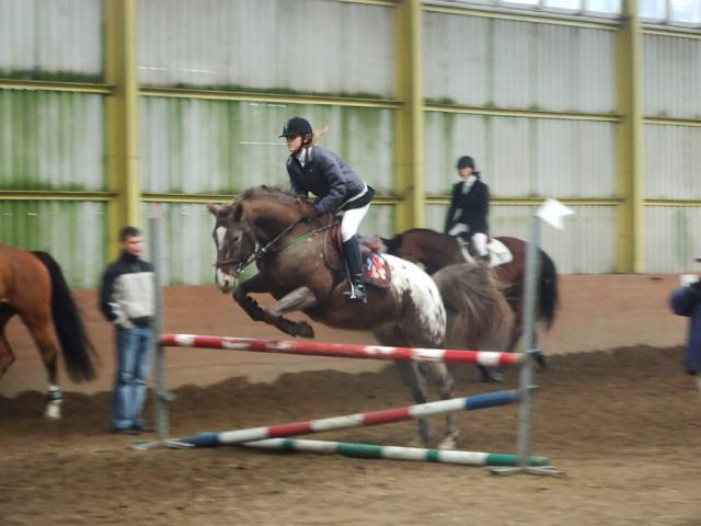 Wpis stables1