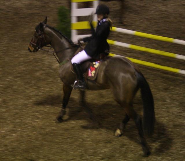 Wpis stables1