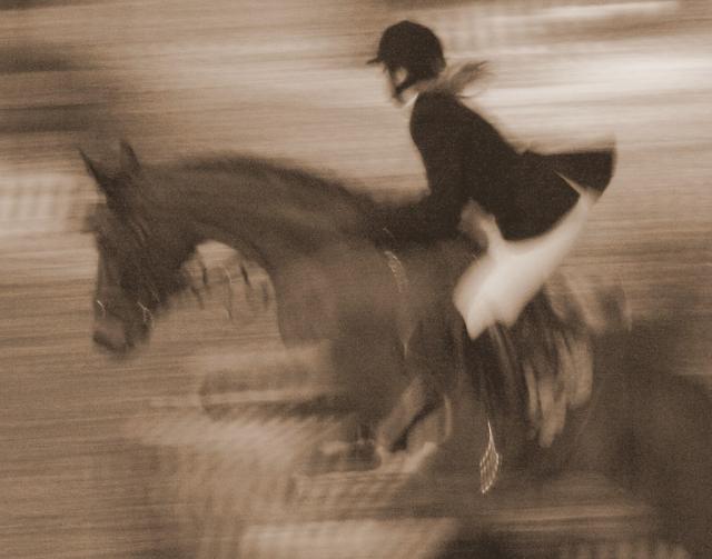 Wpis stables1