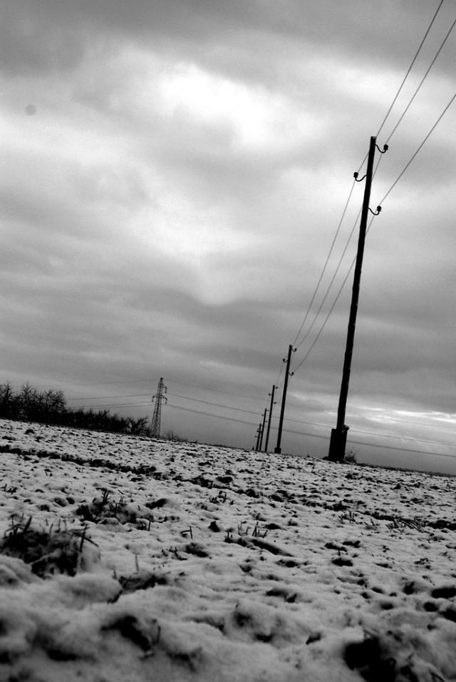 nieg.