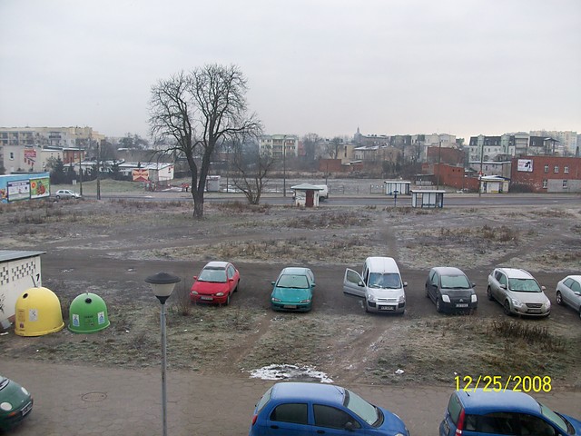 Szara Rzeczywisto