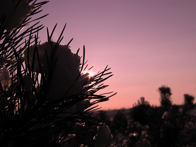 My First Photo