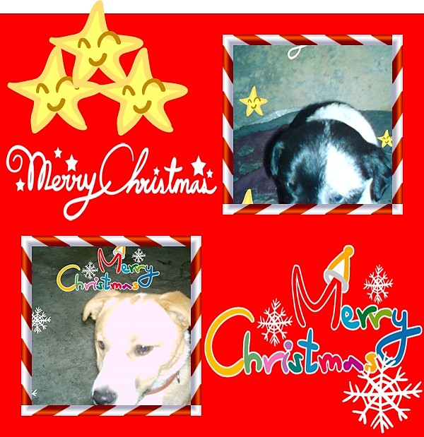 Merry Christmas