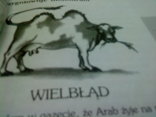 Wpis dziamqa