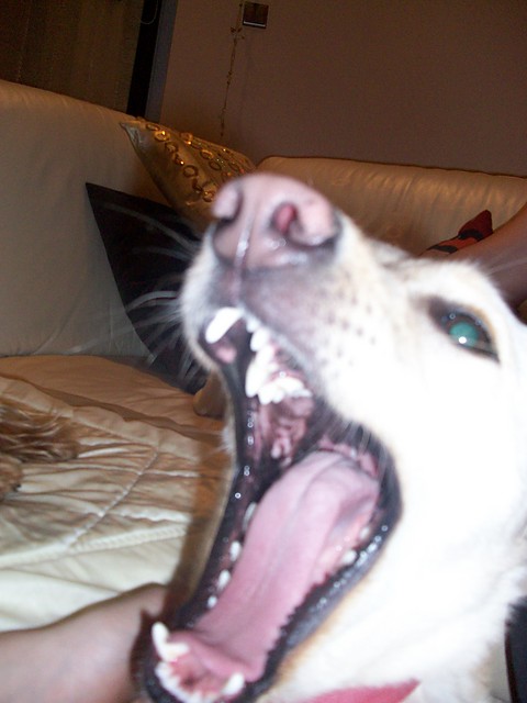 Michu xD