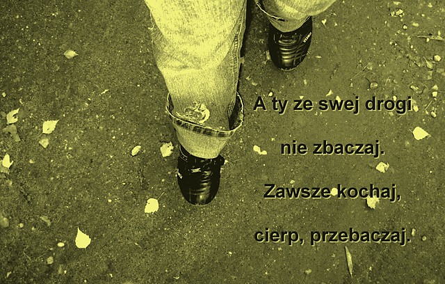 W drodze