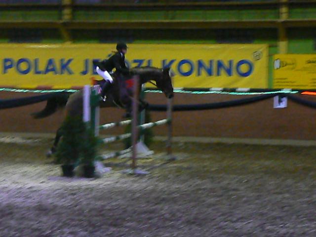 Wpis stables1