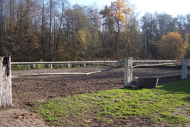 Wpis elliotex