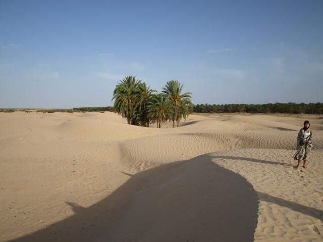 Sahara.