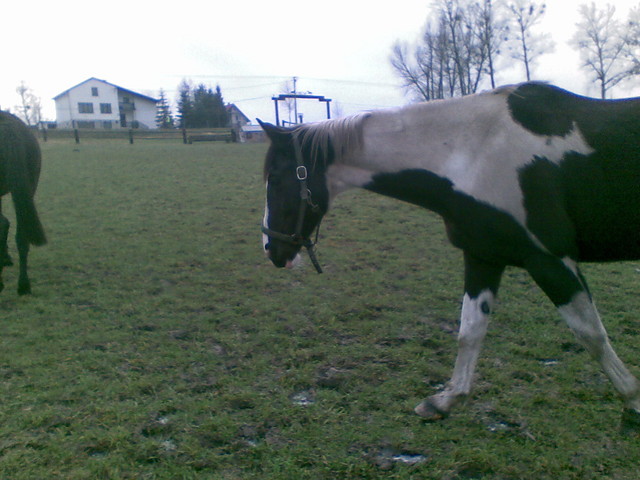 Darusia..:*