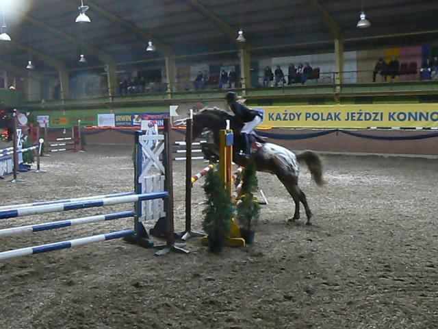 Wpis stables1