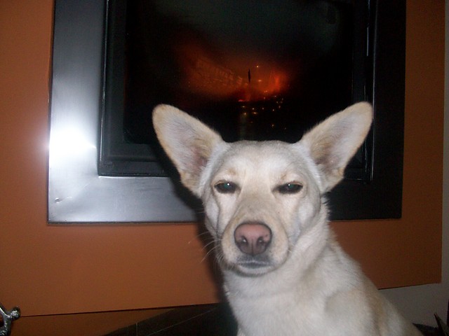 Michu Oo` :P