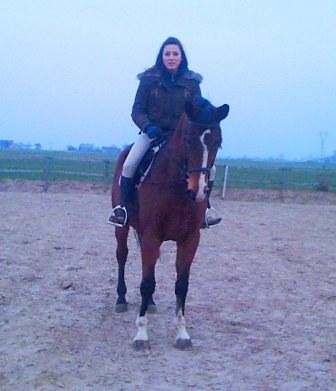 Wpis stevenka